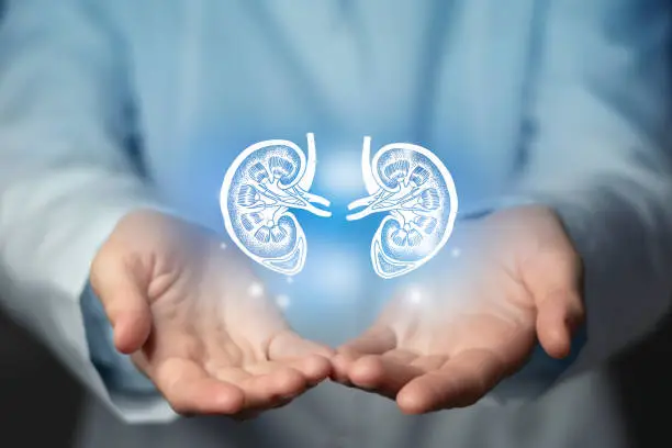 Acute and Chronic Renal treatment